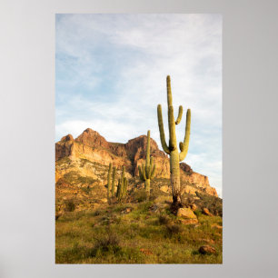 USA, Arizona, Tonto National Forest, Picketpost 2 Poster