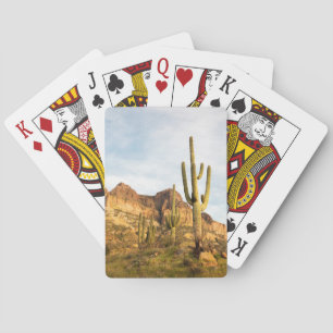 USA, Arizona, Tonto National Forest, Picketpost 2 Spielkarten