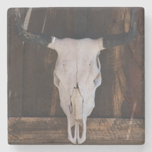 USA, Arizona. Totenkopf an einer Ladenwand Steinuntersetzer