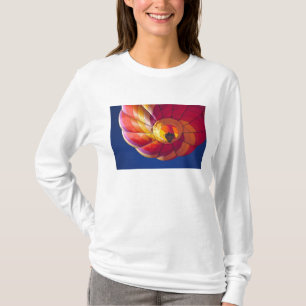 USA, Arizona, Val Vista. Ein farbenfroher Heißluft T-Shirt