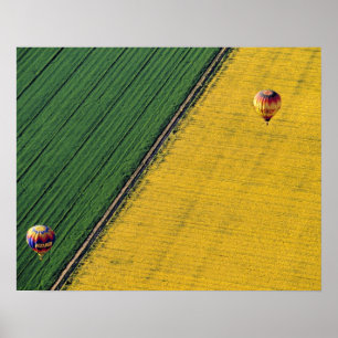 USA, Arizona, Val Vista. Heißluftballons steigen a Poster