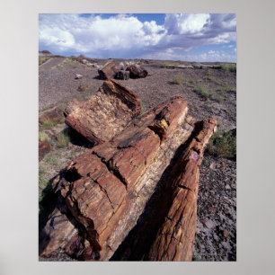USA, Arizona, Wald-Nationalpark, 2 Poster