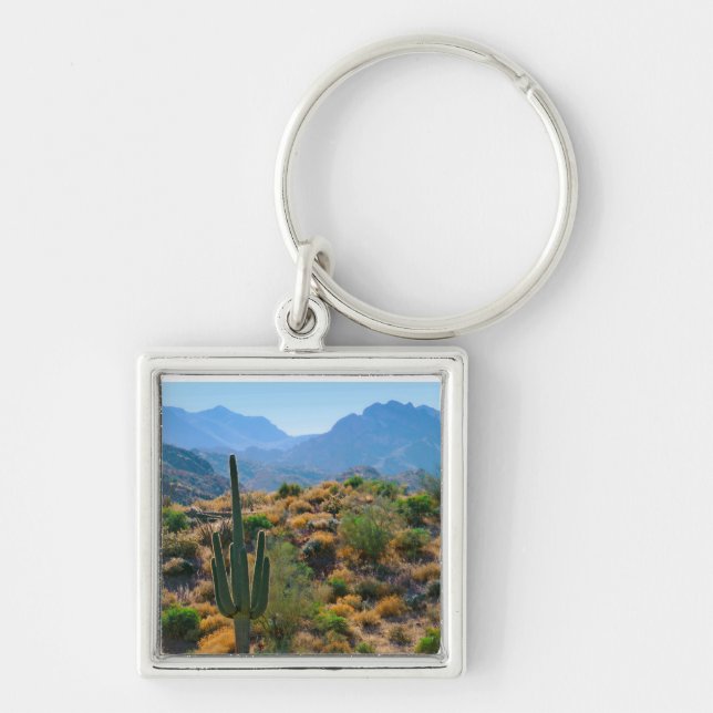 USA, Arizona. Wüstenansicht Schlüsselanhänger (Vorne)