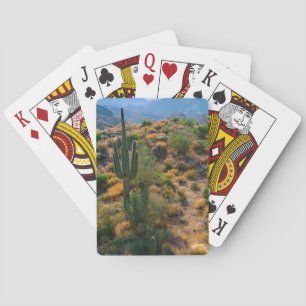 USA, Arizona. Wüstenansicht Spielkarten