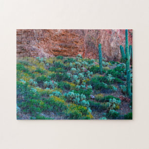 USA, Arizona. Wüstenflora