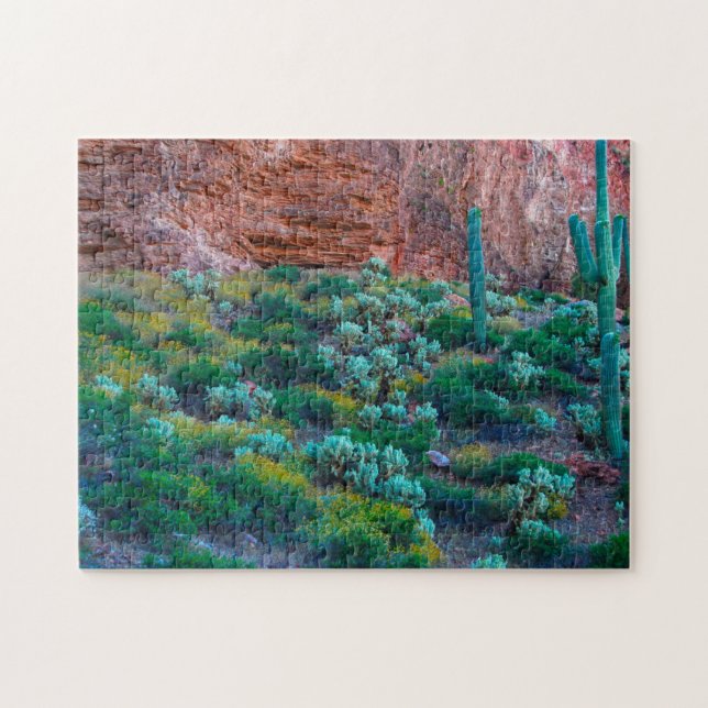 USA, Arizona. Wüstenflora (Horizontal)