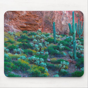 USA, Arizona. Wüstenflora Mousepad