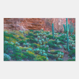 USA, Arizona. Wüstenflora Rechteckiger Aufkleber
