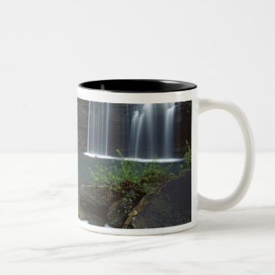 USA, Arkansas, Ozark-St Francis National Zweifarbige Tasse