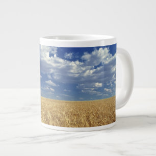 USA, Bundesstaat Washington, Colfax. Reifer Weizen Jumbo-Tasse
