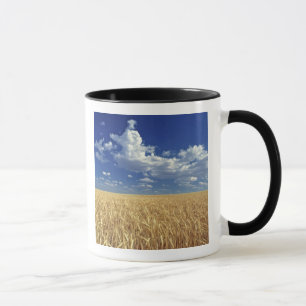 USA, Bundesstaat Washington, Colfax. Reifer Weizen Tasse