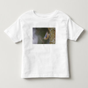 USA, Bundesstaat Washington, Kleiber mit roter Bru Kleinkind T-shirt