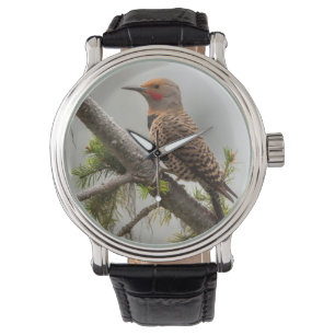USA, Bundesstaat Washington. Männlicher Northern F Armbanduhr