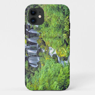 USA, Bundesstaat Washington, Mt Adams Wilderness. title_seo2