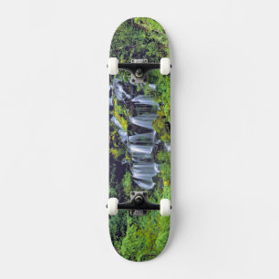 USA, Bundesstaat Washington, Mt Adams Wilderness. Skateboard