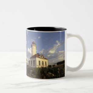 USA, Bundesstaat Washington, nahe Port Townsend. H Zweifarbige Tasse