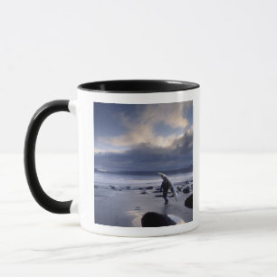 USA, Bundesstaat Washington, Olympic National Park Tasse