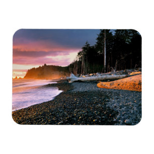 USA, Bundesstaat Washington, Olympic NP. Wellen um Magnet