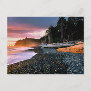 USA, Bundesstaat Washington, Olympic NP. Wellen um Postkarte