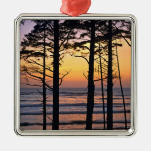 USA, Bundesstaat Washington, Olympic NP. Zart Ornament Aus Metall