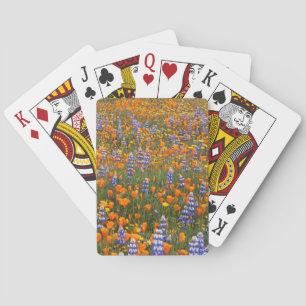 USA, California, Santa Margarita, Avenales Spielkarten