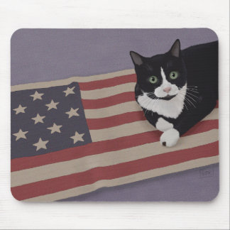 USA Cat Mousepad