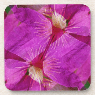USA, Colorado, Boulder. Clematis-Blumenmontage Untersetzer