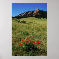 USA, Colorado, Boulder. Flatironen und Mohnblumen