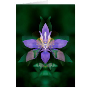 USA, Colorado, Boulder Landkreis