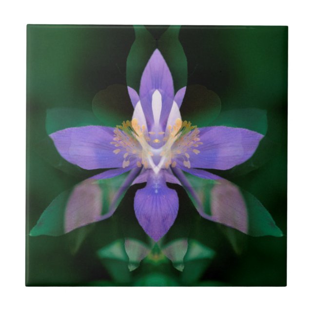 USA, Colorado, Boulder Landkreis Fliese (Vorderseite)