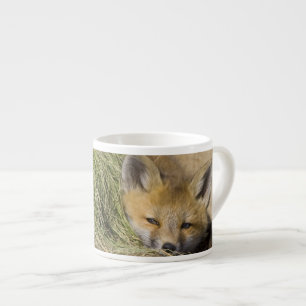 USA, Colorado, Breckenridge. Alarmierender Rotfuch Espressotasse