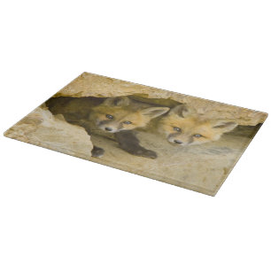 USA, Colorado, Breckenridge. Neugieriger Rotfuchs Schneidebrett