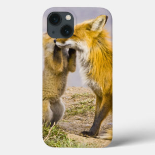 USA, Colorado, Breckenridge. Rotfuchs-Mutter 2 Case-Mate iPhone Hülle