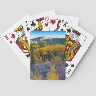 USA, Colorado. Bright Yellow Aspens in Rockies Spielkarten