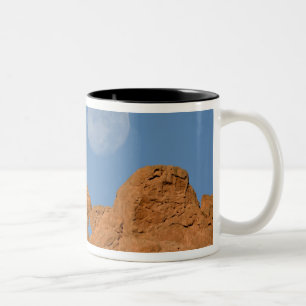 USA, Colorado, Colorado Springs, Garten der 2 Zweifarbige Tasse
