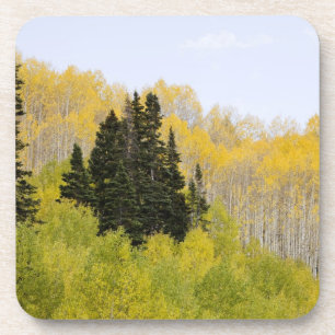 USA, Colorado, Gunnison National Forest, entlang 2 Getränkeuntersetzer