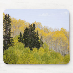 USA, Colorado, Gunnison National Forest, entlang 2 Mousepad