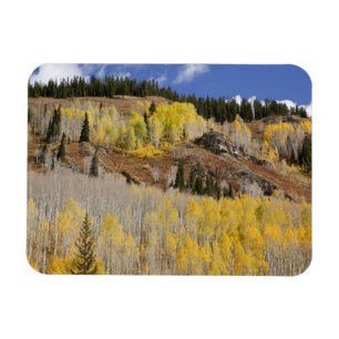 USA, Colorado, Gunnison National Forest, entlang Magnet