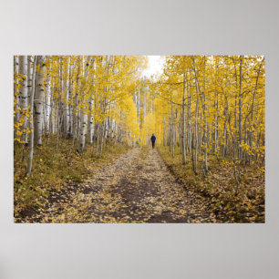 USA, Colorado, Gunnison National Forest in der Näh Poster