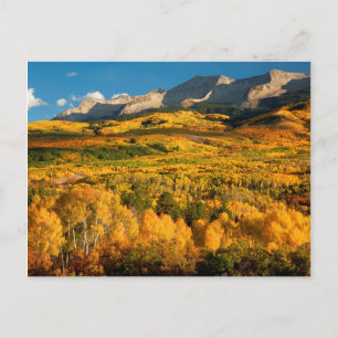 USA, Colorado, Gunnison National Forest Postkarte