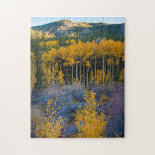 USA, Colorado. Hellgelbe Aspekte in Rockies