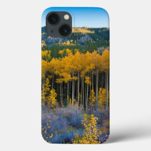 USA, Colorado. Hellgelbe Aspekte in Rockies Case-Mate iPhone Hülle