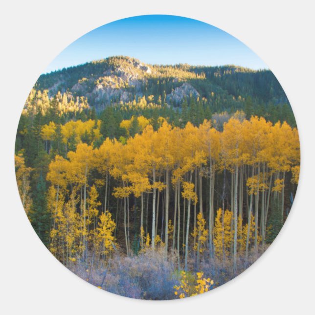 USA, Colorado Hellgelbe Aspen in Rockies Runder Aufkleber (Vorderseite)