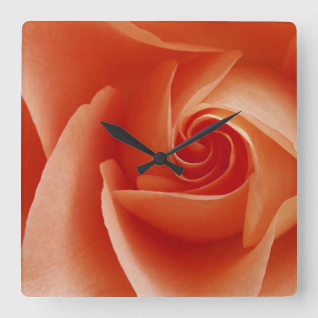USA, Colorado, Lafayette. Rose nah Quadratische Wanduhr (Vorderseite)