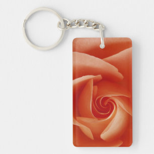 USA, Colorado, Lafayette. Rose nah Schlüsselanhänger