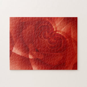 USA, Colorado, Lafayette. Rote Rose