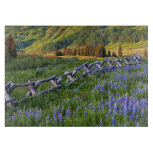 USA, Colorado. Lupinen und Holzzaun Schneidebrett