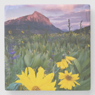 USA, Colorado, Mt. Crested Butte Steinuntersetzer