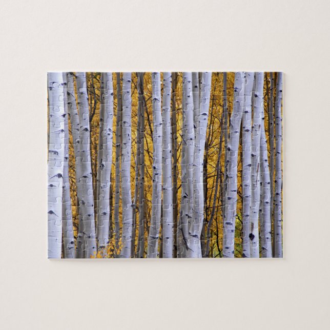 USA, Colorado, Rocky Mountains.  Intimität (Horizontal)