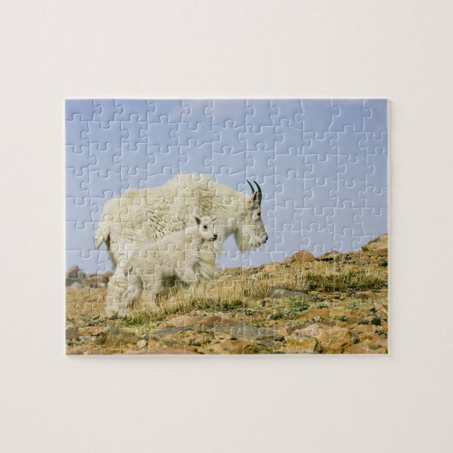 USA, Colorado, Rocky Mountains, Mount Evans, (Horizontal)